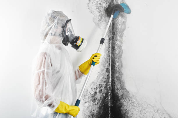 Best HVAC Mold Inspection and Cleaning  in Flowery Branch, GA