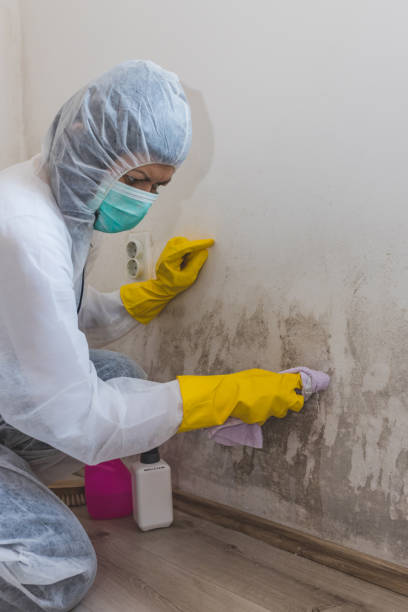 Best Mold Documentation for Insurance Claims  in Flowery Branch, GA