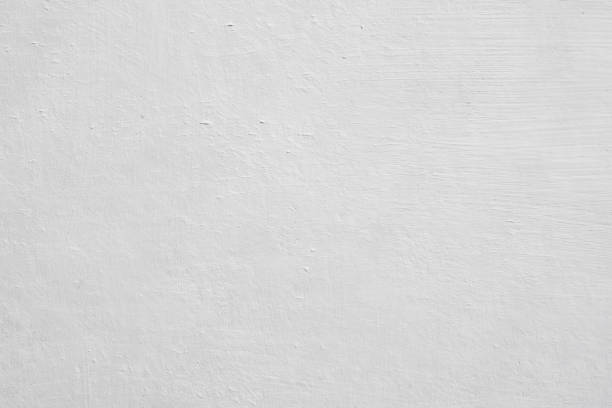 Trusted Flowery Branch, GA Mold Removal Experts