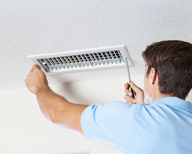 Best Attic Mold Removal  in Flowery Branch, GA