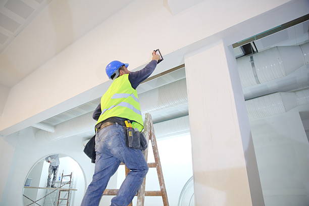 Best Emergency Mold Remediation  in Flowery Branch, GA
