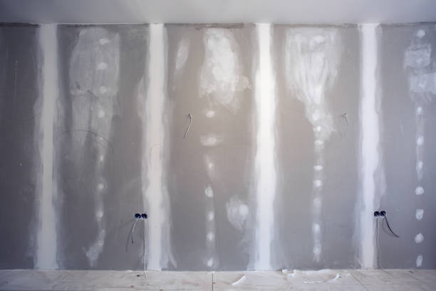 Best Mold Prevention Services  in Flowery Branch, GA